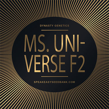 Speakeasy presents Ms. Universe F2