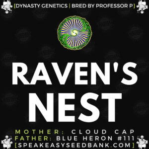 Speakeasy presents Raven's Nest