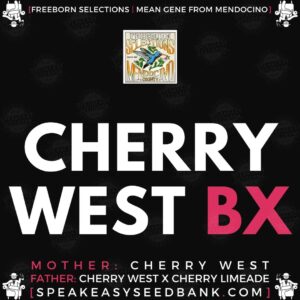 Freeborn Selections presents Cherry West BX