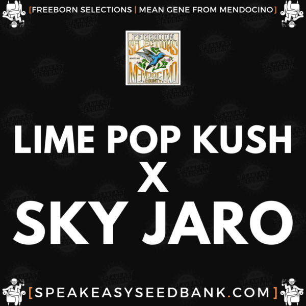 Speakeasy presents Limepop Kush x Sky Jaro