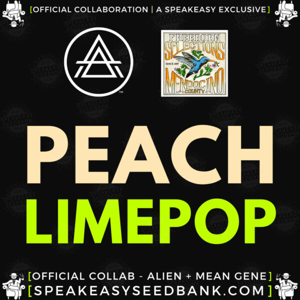 Speakeasy presents Peach Limepop
