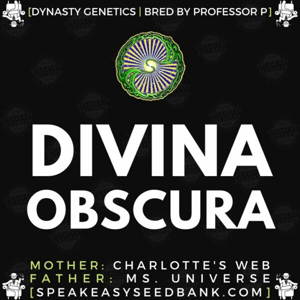 Speakeasy presents Divina Obscura