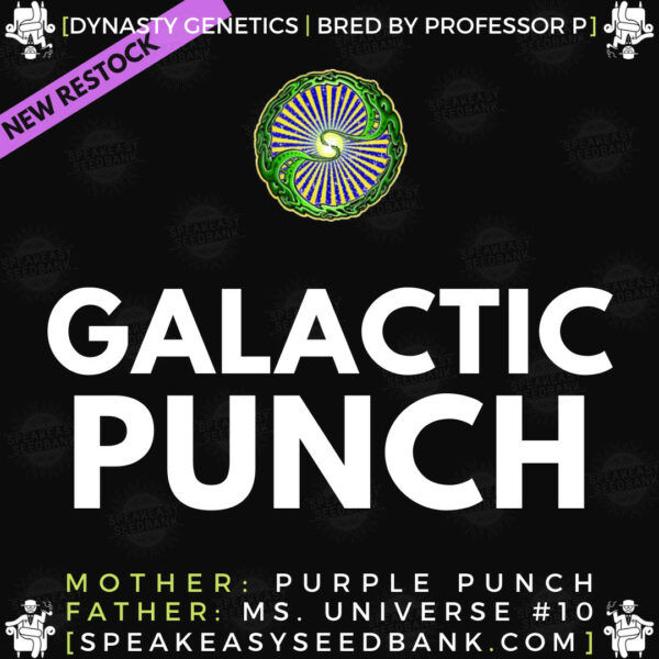 Speakeasy presents Galactic Punch