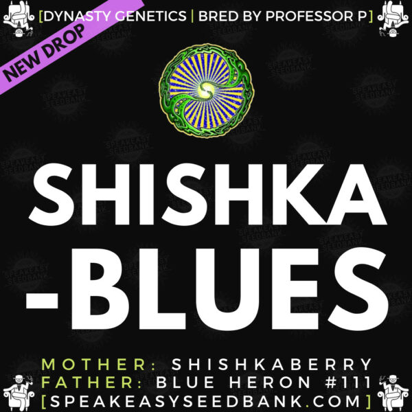 Speakeasy presents Shishka Blues