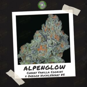 Alpenglow by Dynasty Genetics