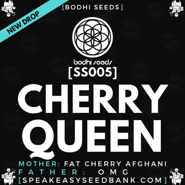 Bodhi Seeds - Cherry Queen - Speakeasy Seedbank
