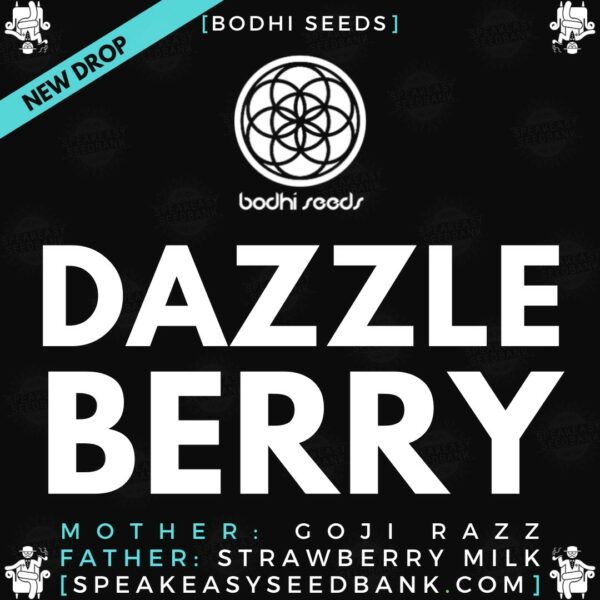 Speakeasy presents Dazzleberry