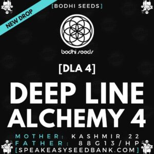 Speakeasy presents Deep Line Alchemy 4