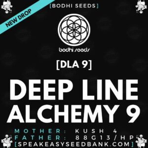 Speakeasy presents Deep Line Alchemy 9
