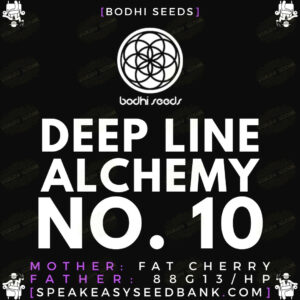 Speakeasy presents Deep Line Alchemy 10