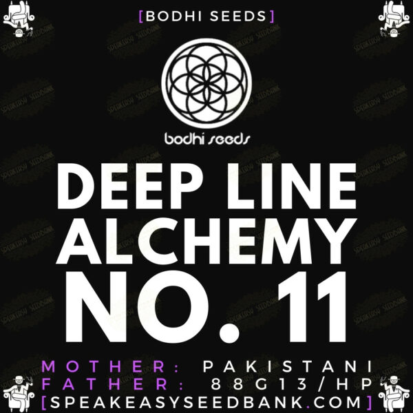 Speakeasy presents Deep Line Alchemy 11