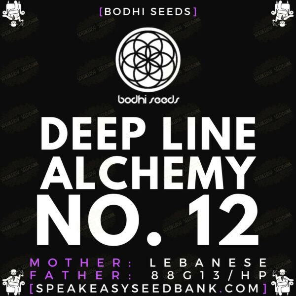 Speakeasy presents Deep Line Alchemy 12