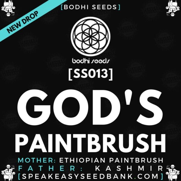 Speakeasy presents God's Paintbrush