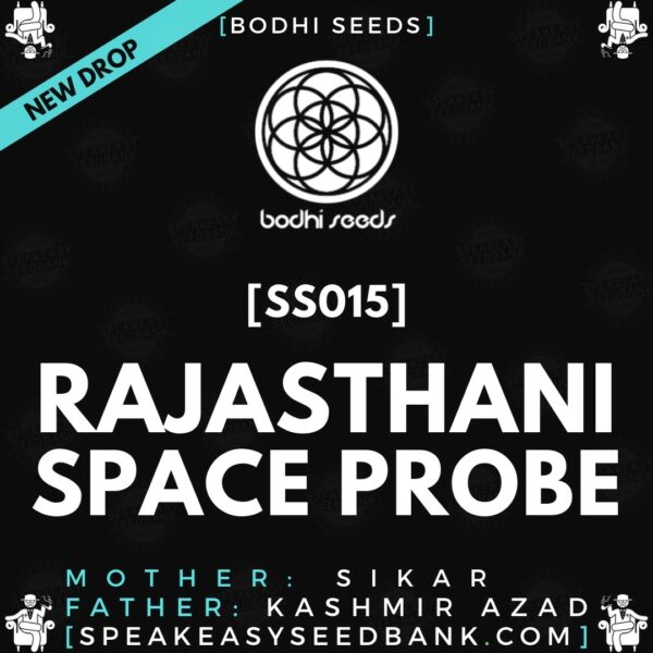 Speakeasy presents Rajasthani Space Probe