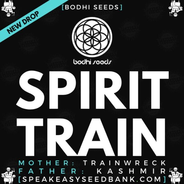 Speakeasy presents Spirit Train