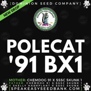 Dominion Seed Co presents Polecat 91 BX1