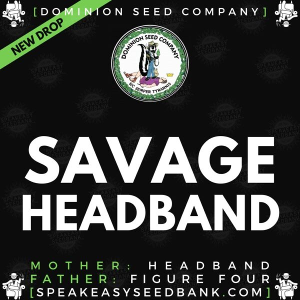 Dominion Seed Co present Savage Headband