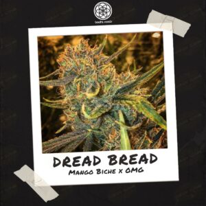 Dread Bread by Bodhi Seeds - Buy Seeds at Speakeasy Seed Bank (2)