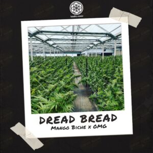 Dread Bread by Bodhi Seeds - Buy Seeds at Speakeasy Seed Bank (3)