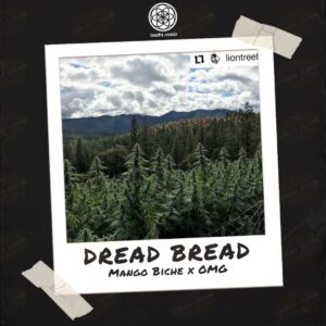 Dread Bread by Bodhi Seeds - Buy Seeds at Speakeasy Seed Bank (5)