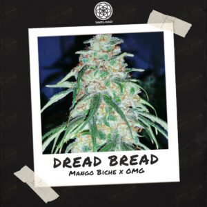 Dread Bread by Bodhi Seeds