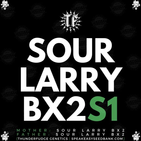 Speakeasy presents Sour Larry BX2S1