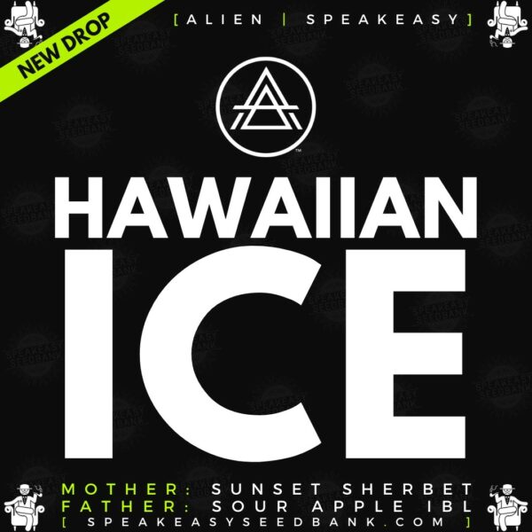 Speakeasy presents Hawaiian Ice