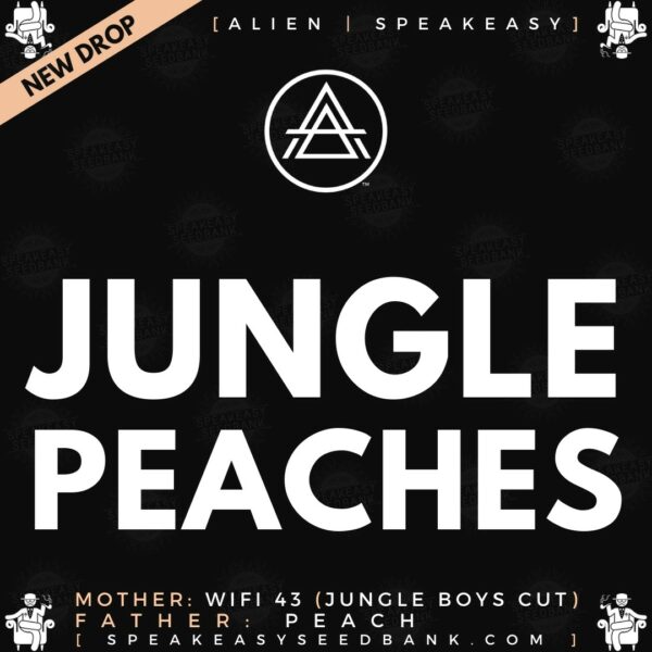 Speakeasy presents Jungle Peaches