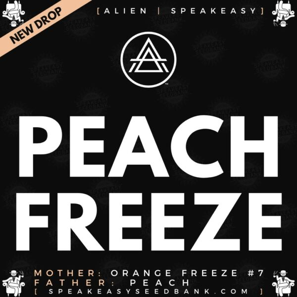 Speakeasy presents Peach Freeze