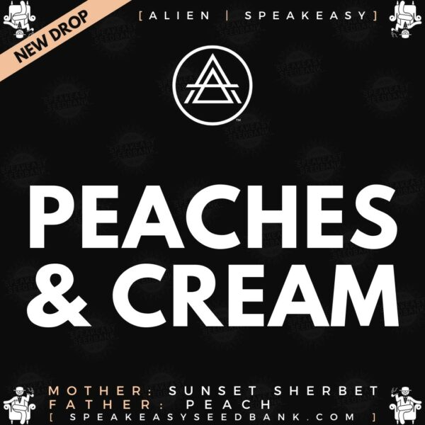 Speakeasy presents Peaches and Cream