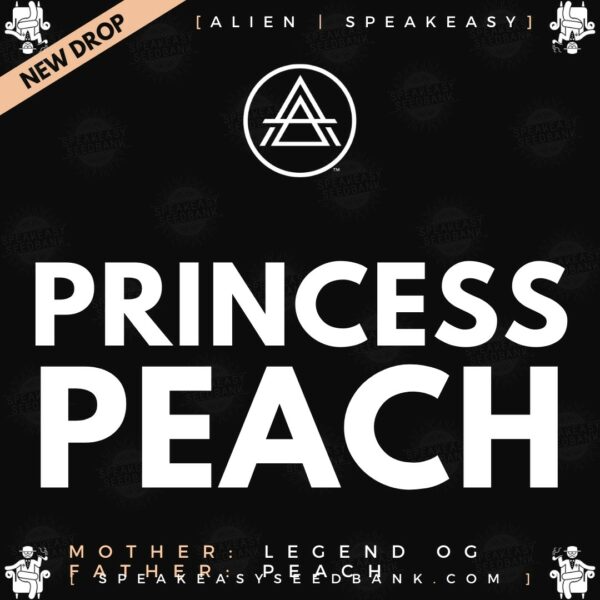 Princess Peach by Alien Genetics