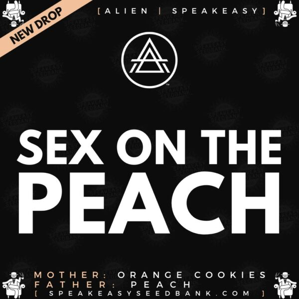 Speakeasy presents Sex on the Peach