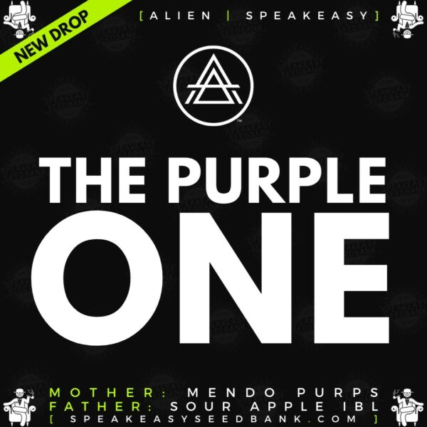 Speakeasy presents The Purple One