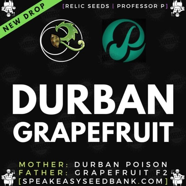 Speakeasy presents Durban Grapefruit