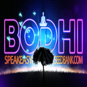 Bodhi Seeds presents Zoot