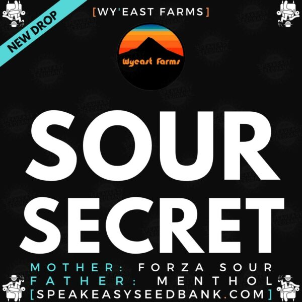 Wy'east Farms - Sour Secret - Speakeasy Seedbank