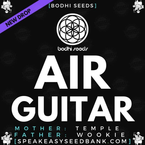 Air Guitar | Bodhi Seeds x Speakeasy Seedbank
