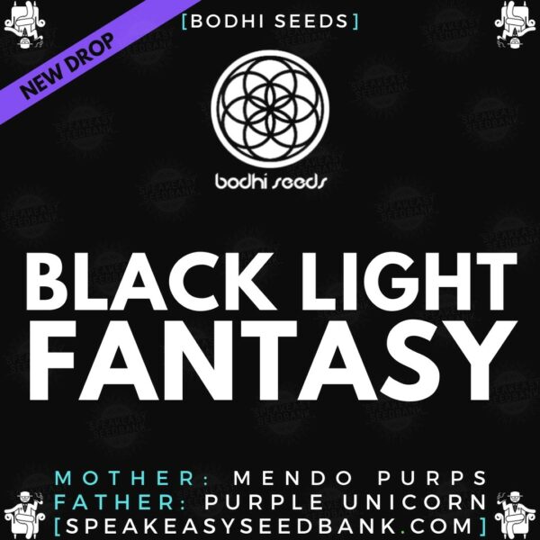 Speakeasy presents Black Light Fantasy