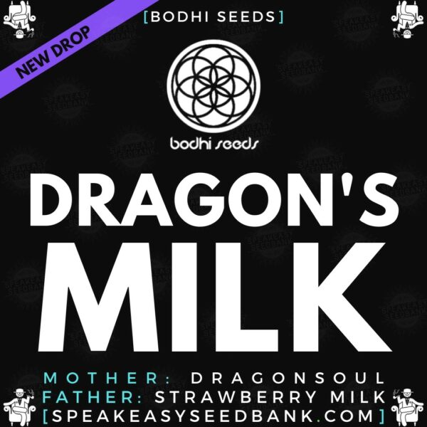 Speakeasy presents Dragon's Milk