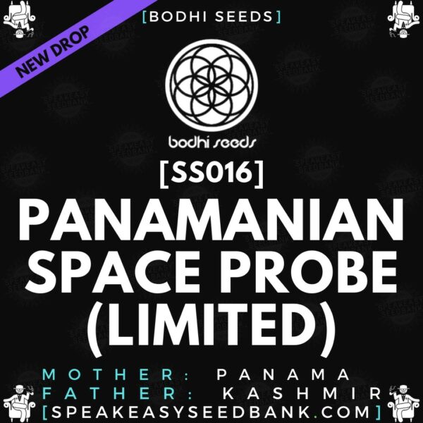 Speakeasy presents Panamanian Space Probe