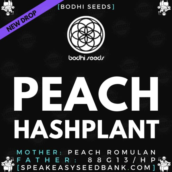 Bodhi Seeds presents Peach Hashplant