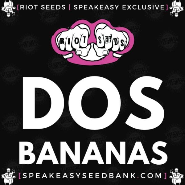 Speakeasy presents Dos Bananas