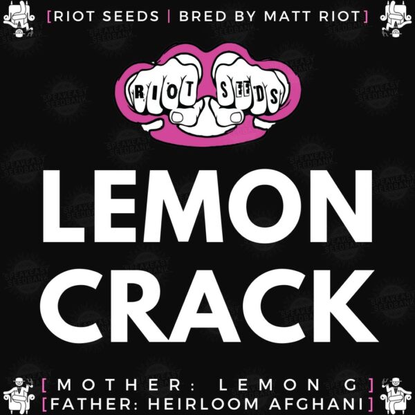 Speakeasy presents Lemon Crack by Riot Seeds