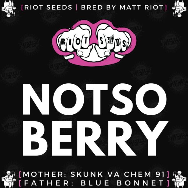 Speakeasy presents Notsoberry by Riot Seeds
