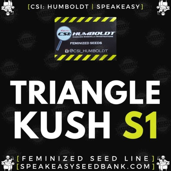 Speakeasy presents Triangle Kush S1 by CSI Humboldt