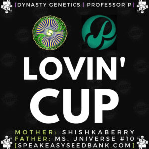 Speakeasy presents Lovin Cup