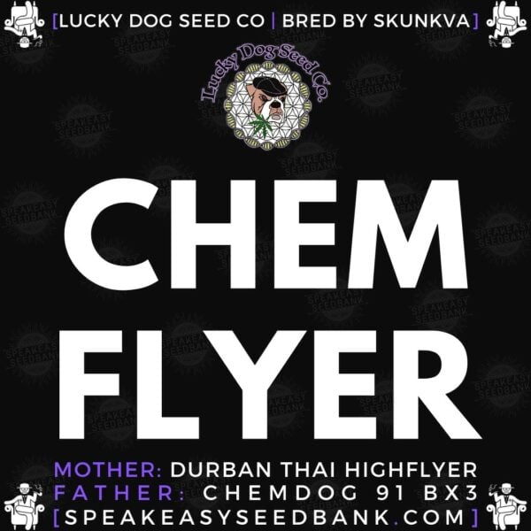 Speakeasy presents Chem Flyer by Lucky Dog Seed Co
