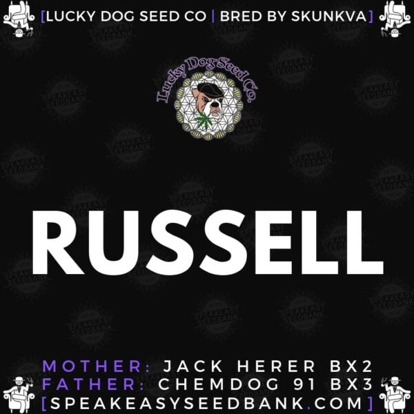 Speakeasy presents Russell by Lucky Dog Seed Co