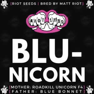 Speakeasy presents Blunicorn by Riot Seeds