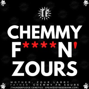 Speakeasy presents Chemmy Zours by Thunderfudge Genetics